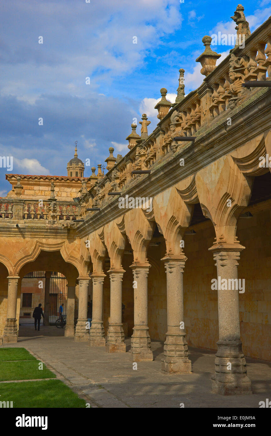 Salamanca, kleine Schulen, Hof (16. Jahrhundert), Kastilien-León, Spanien. Stockfoto