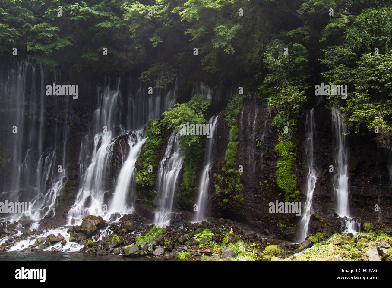 Shiraito Wasserfälle in Shizuoka, Japan Stockfoto