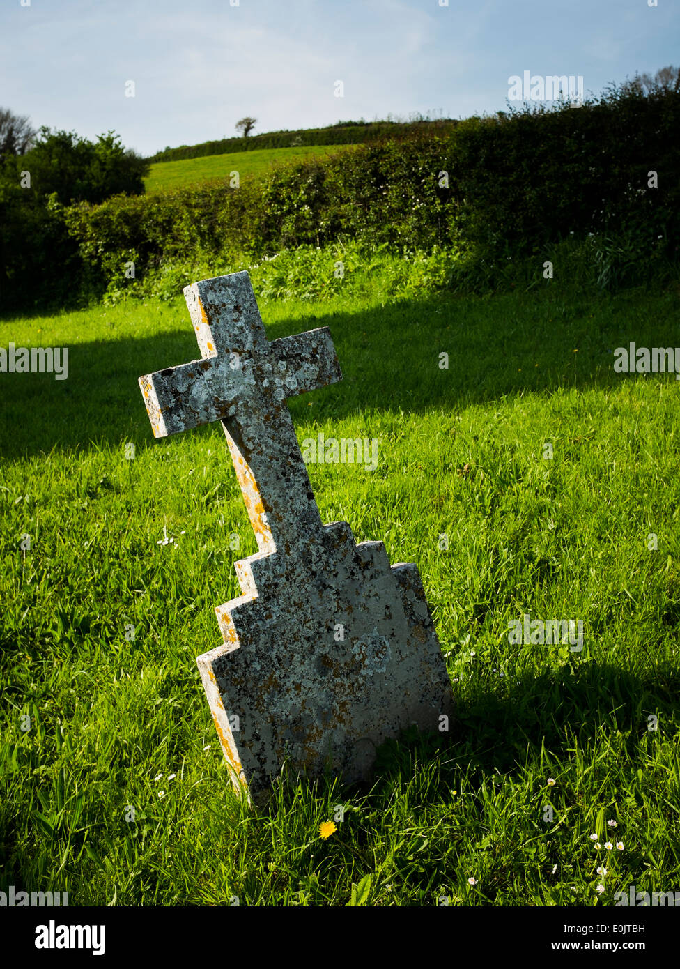 Eine Flechte und Moos bedeckt Kruzifix Grabstein/Grabstein an Str. Marys Kirche, Upton Hellions, Devon, England Stockfoto