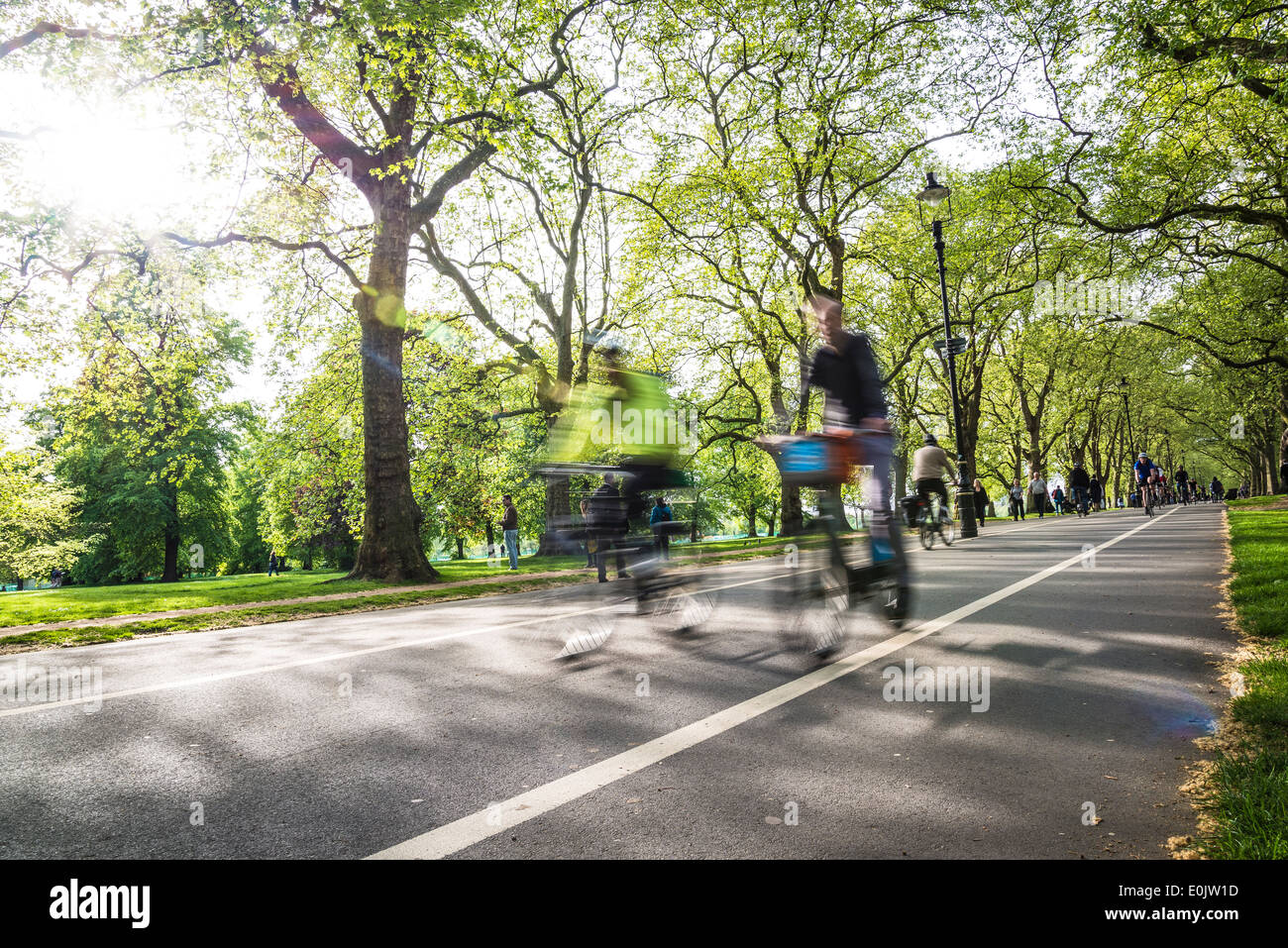 Hyde Park, Radfahren auf breiten Fußweg, London London, UK Stockfoto