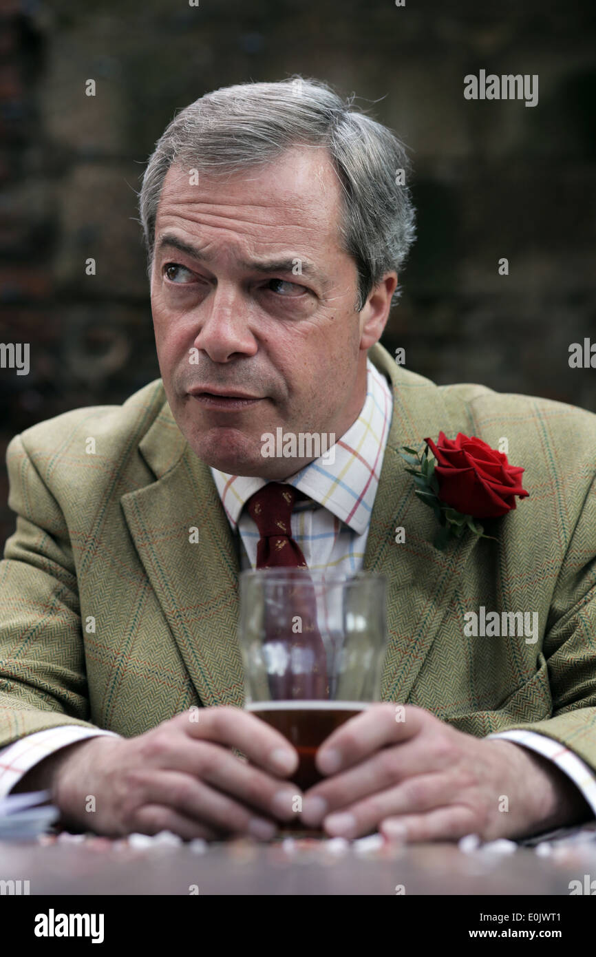 Führer der Partei UKIP, Nigel Farage MEP in Black Bull Pub, yarn, Cleveland, Großbritannien. Stockfoto