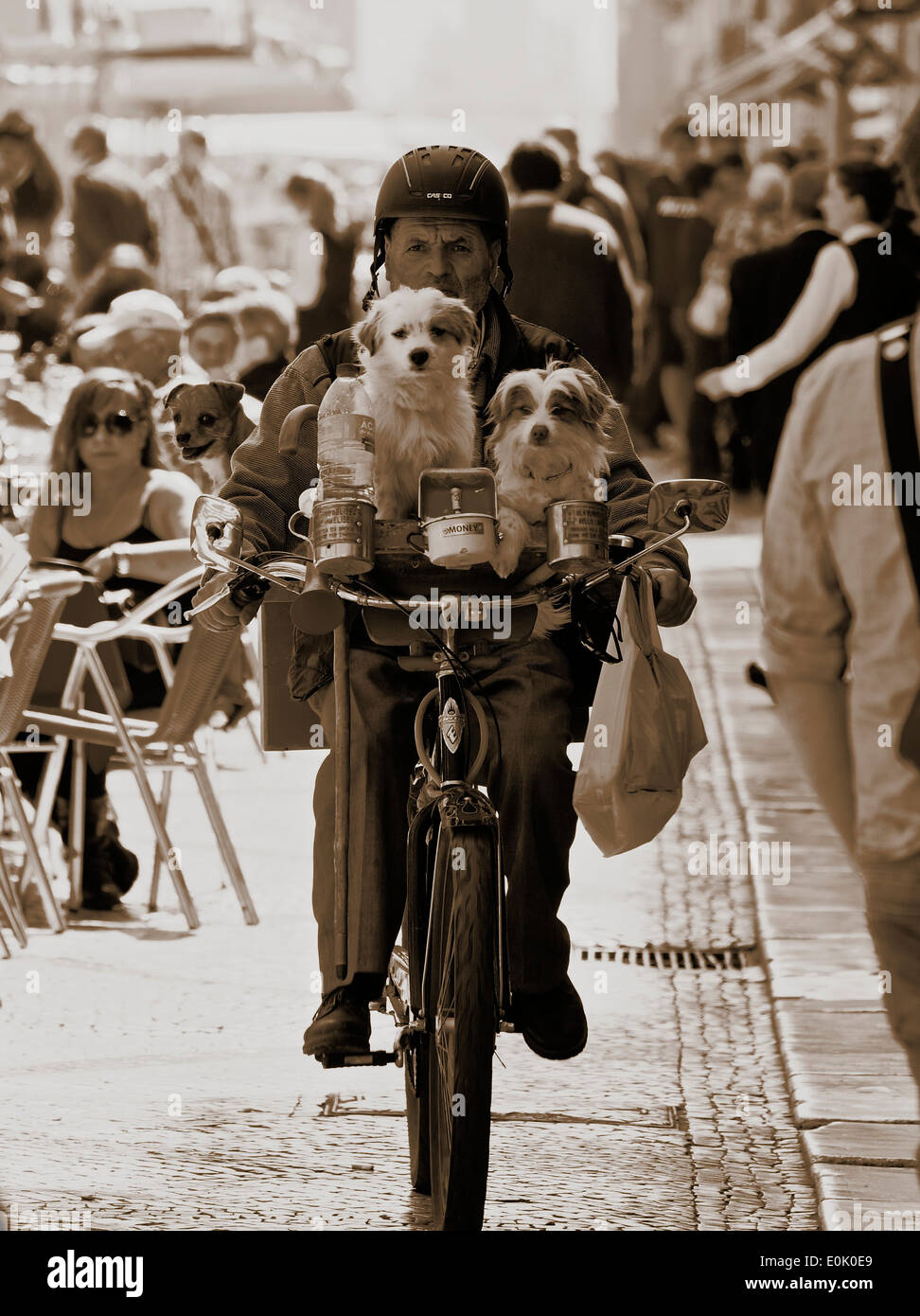 Mann, Radfahren durch Massen auf Rua Augusta mit 2 kleinen Hunden am Lenker und sammeln von Tine Lissabon Portugal Westeuropa Stockfoto