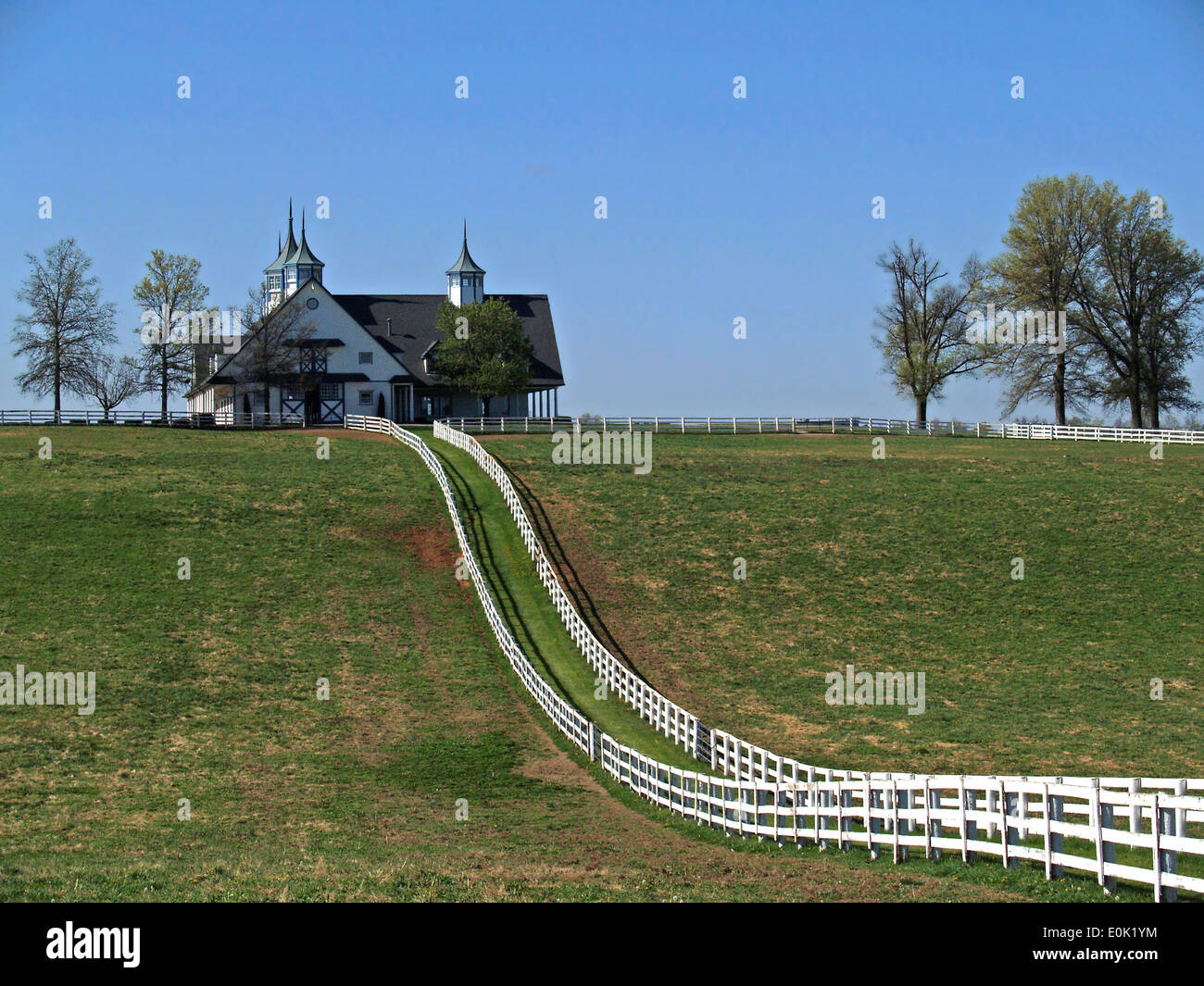 Weißes Brett Zäune führen in ein cupolaed Pferdestall, Lexington, Kentucky Stockfoto