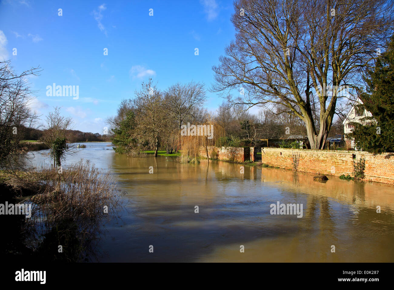 9479 River Stour Überschwemmungen in Feb 14, Fordwich, Kent, England Stockfoto