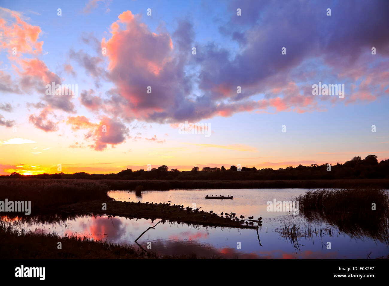 9492. Sonnenuntergang, Grove, Kent, England Stockfoto