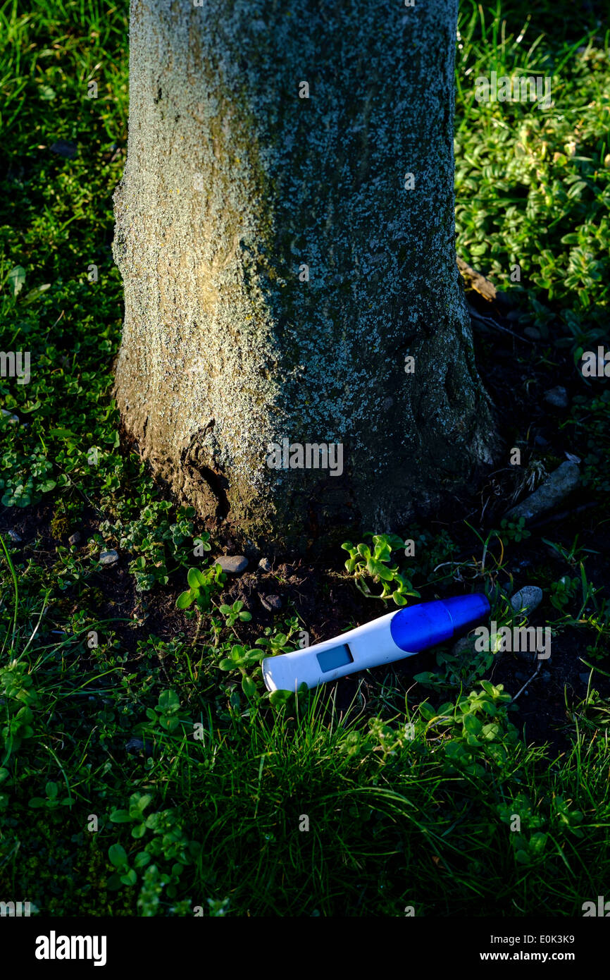 Ein beiläufig ausrangierte Schwangerschaftstest am Fuße eines Baumes. Stockfoto