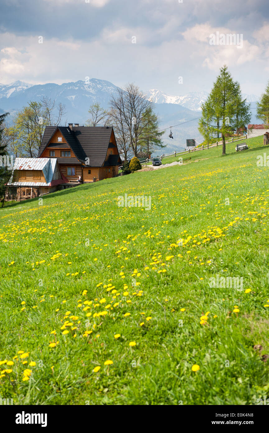 Frühlingswiese und Holzhaus in Gubalowka Landschaft beliebte Attraktion mit Blick auf Tatra-Gebirge in Zakopane Stockfoto