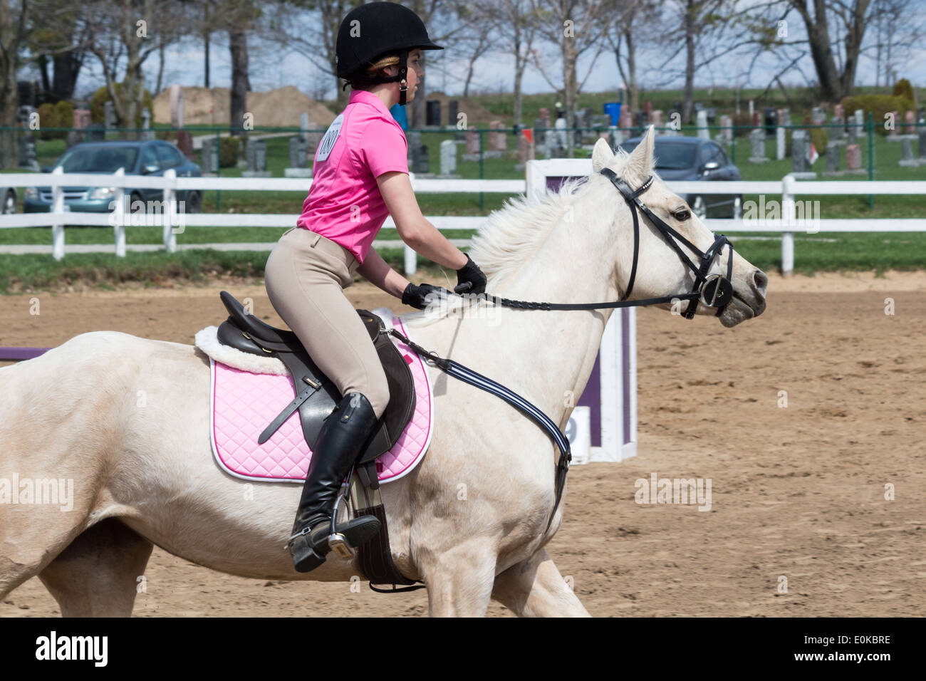 Teenager-Mädchen reiten ihr Palomino Pferd Pony im Sprung Ring bei einem lokalen Horse Show. Stockfoto