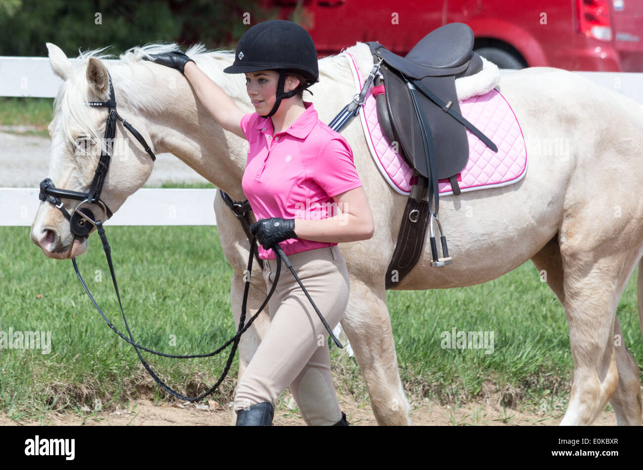 Teenager-Mädchen zu Fuß ihr Palomino Pferd Pony und in den Hals streicheln. Stockfoto