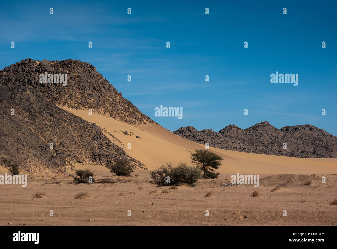 Wüstenlandschaft in der Nähe von Wadi Halfa, Nord-Sudan Stockfoto