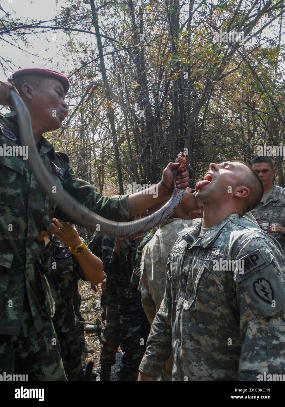 1st Lt. James Morris trinkt das Blut einer Königskobra, ein Thai kultureller Akt, Tapferkeit, während Dschungel Survival Training zu vermitteln Stockfoto