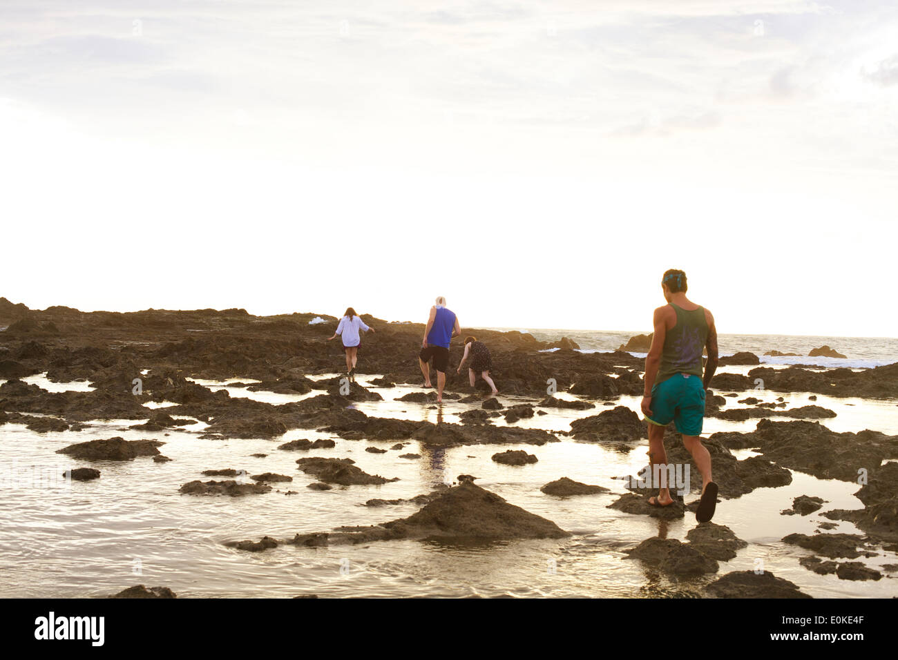 Menschen entdecken Sie Costa Rica tropischen Gezeitenbecken in der Sonne am Nachmittag. Stockfoto