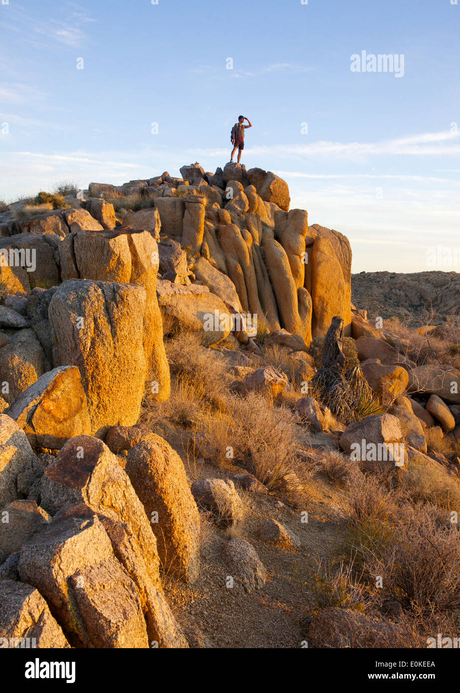 Ein Wanderer steht an der Spitze eines Haufens von Findlingen im Joshua Tree National Park in Süd-Kalifornien, USA Stockfoto