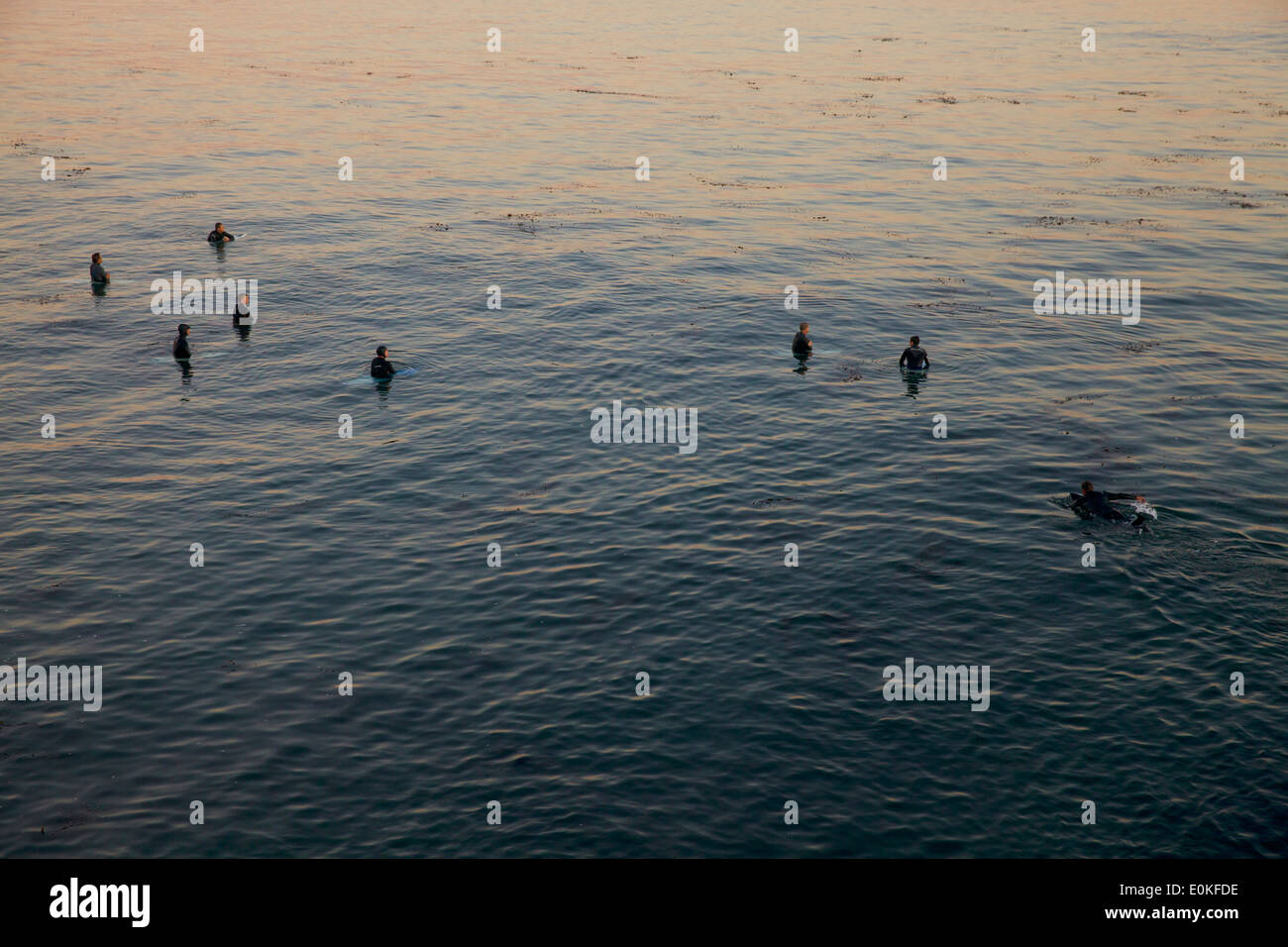 Eine Gruppe von Surfern wartet in stillem Wasser für die nächste Welle an Dampfer in Santa Cruz, Kalifornien. Stockfoto