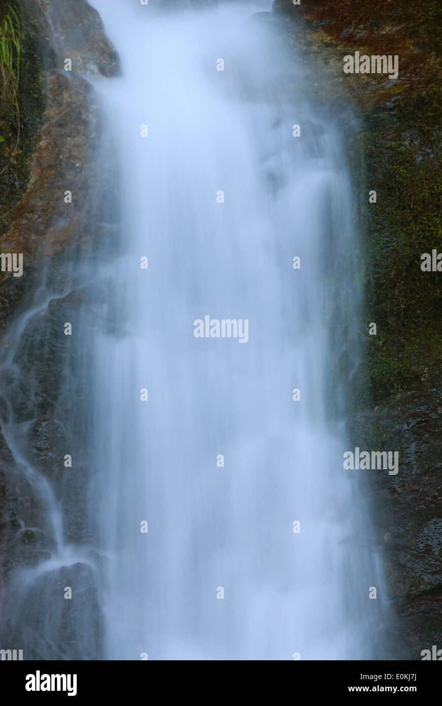 Nebenfluss Wasserfall, Elk Wild and Scenic River, Siskiyou National Forest, Oregon Stockfoto