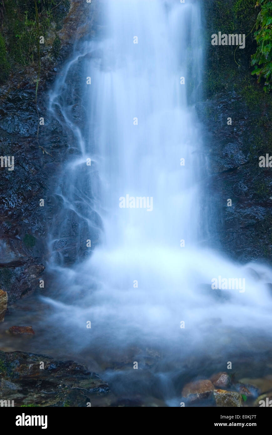 Nebenfluss Wasserfall, Elk Wild and Scenic River, Siskiyou National Forest, Oregon Stockfoto