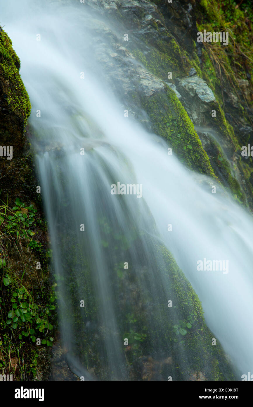 Cascade Creek entlang der Rogue River National Recreation Trail, Wild Rogue und Scenic River, Oregon Stockfoto