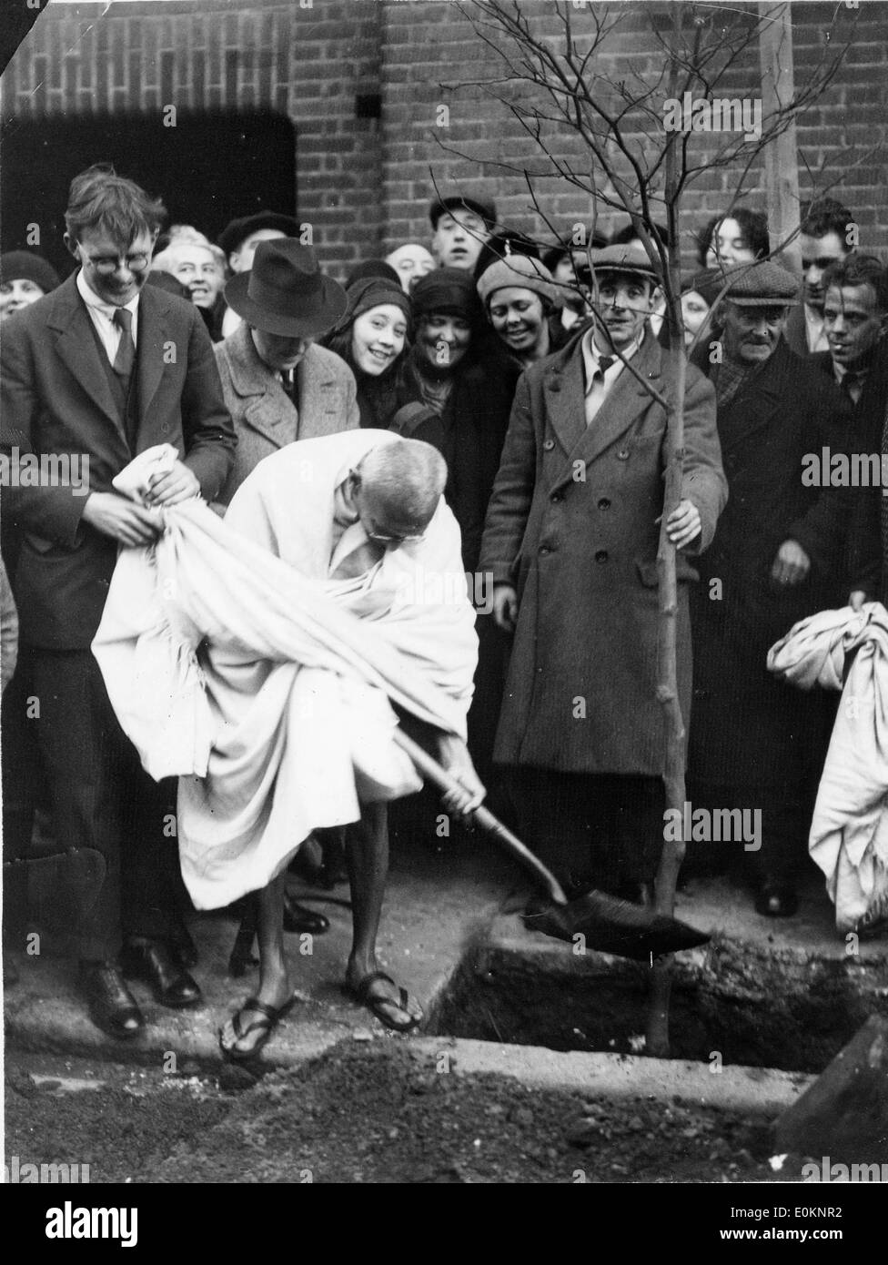 Mahatma Gandhi pflanzt einen Baum außerhalb Kingsley Hall Stockfoto