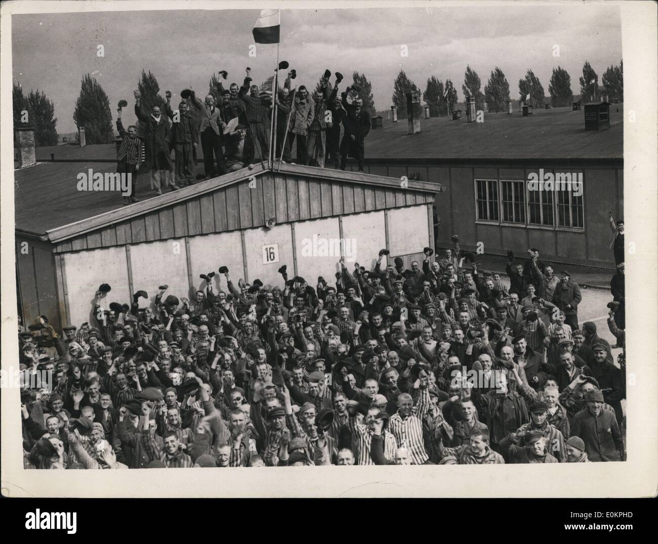 05. Mai 1945 - Gefangene jubeln, als das Vernichtungslager Dachau befreit wird : Dachau, das berüchtigtste Konzentrationslager von allen, wurde von Männern der 42. Regenbogendivision der 7. Armee der USA befreit. Szenen von entsetzlichen Schrecken wurden von den amerikanischen Truppen beobachtet, als sie von Gebäude zu Gebäude gingen. Tausende von verhungerten Leichen wurden in der Nähe der Ritt auf Cre angehäuft, und Tausende von Lebenden wurden vor Freude verrückt, als die verhungerten Jungen in ihr Gefängnis stürzten. Viele der Gefangenen nahmen sofort die S.S. fest Stockfoto