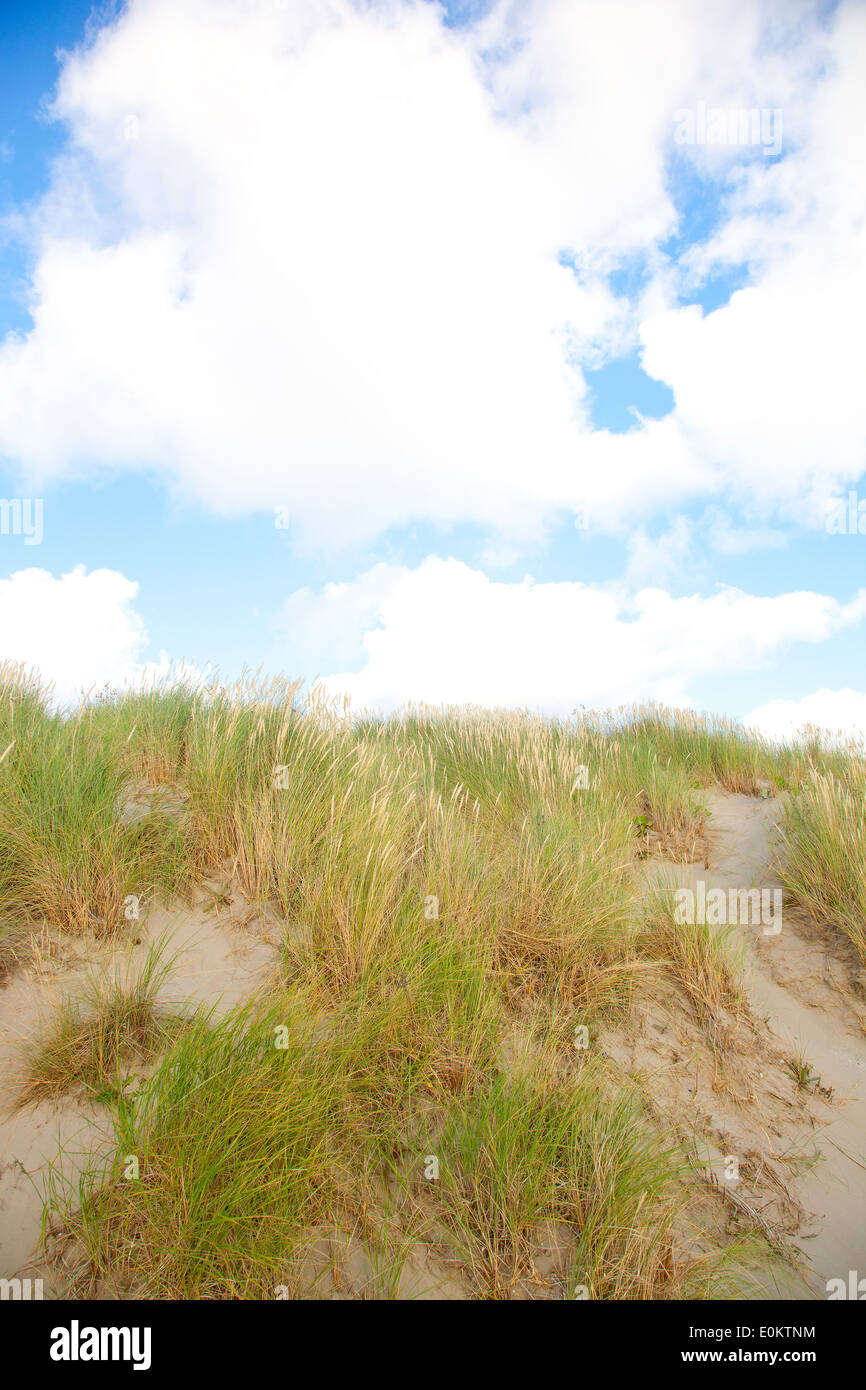 Dünen mit Sand und bewölkten blauen Himmel Stockfoto