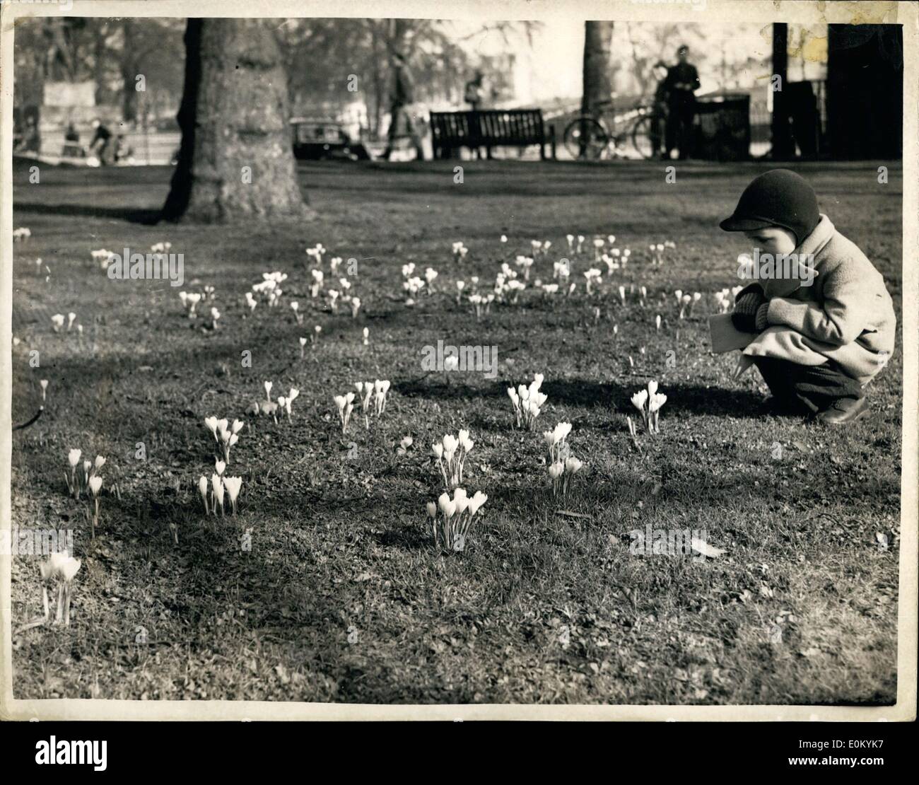 2. Februar 1953 - Zeichen des Frühlings: nach den jüngsten Überschwemmungen und Unwetter - unser Fotograf konnte nicht widerstehen, dieses Bild von kleinen 4 - jährige Peter Wakeford, Kensington - unter den Crocs im Hyde Park heute. Stockfoto