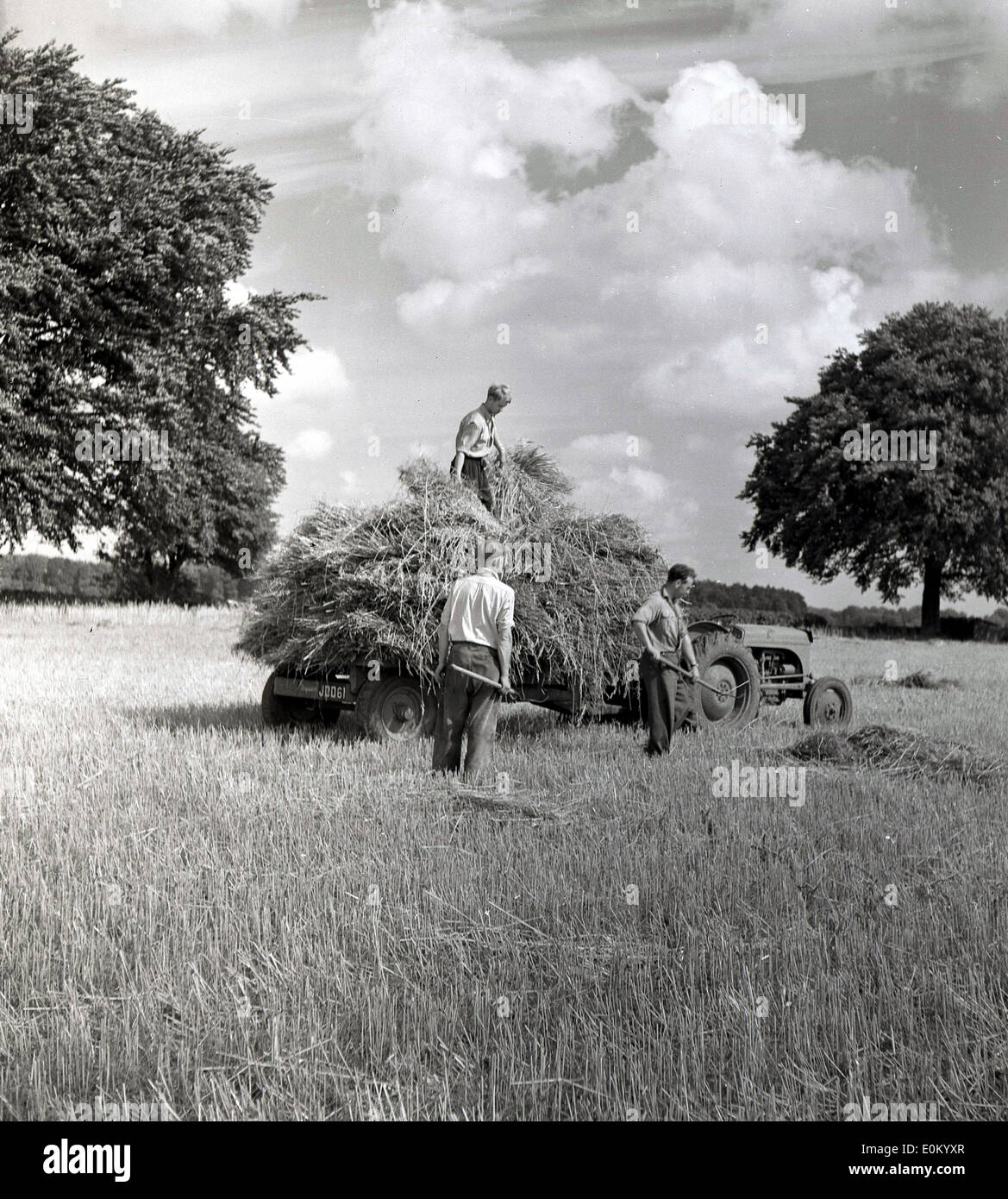 Farming 1950s Stockfotos & Farming 1950s Bilder - Alamy