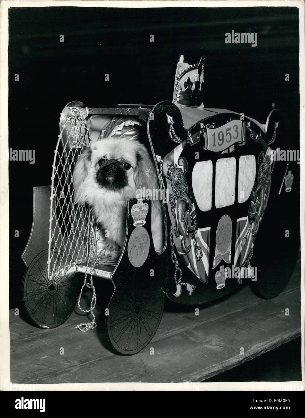 2. Februar 1953 - In ihrer Krönung-Trainerin. Meisterschaft der Pekinese Hund zeigen.: In ihrer Krönung-Coach ist singen singen Koe-Pi der Elug, Stockfoto