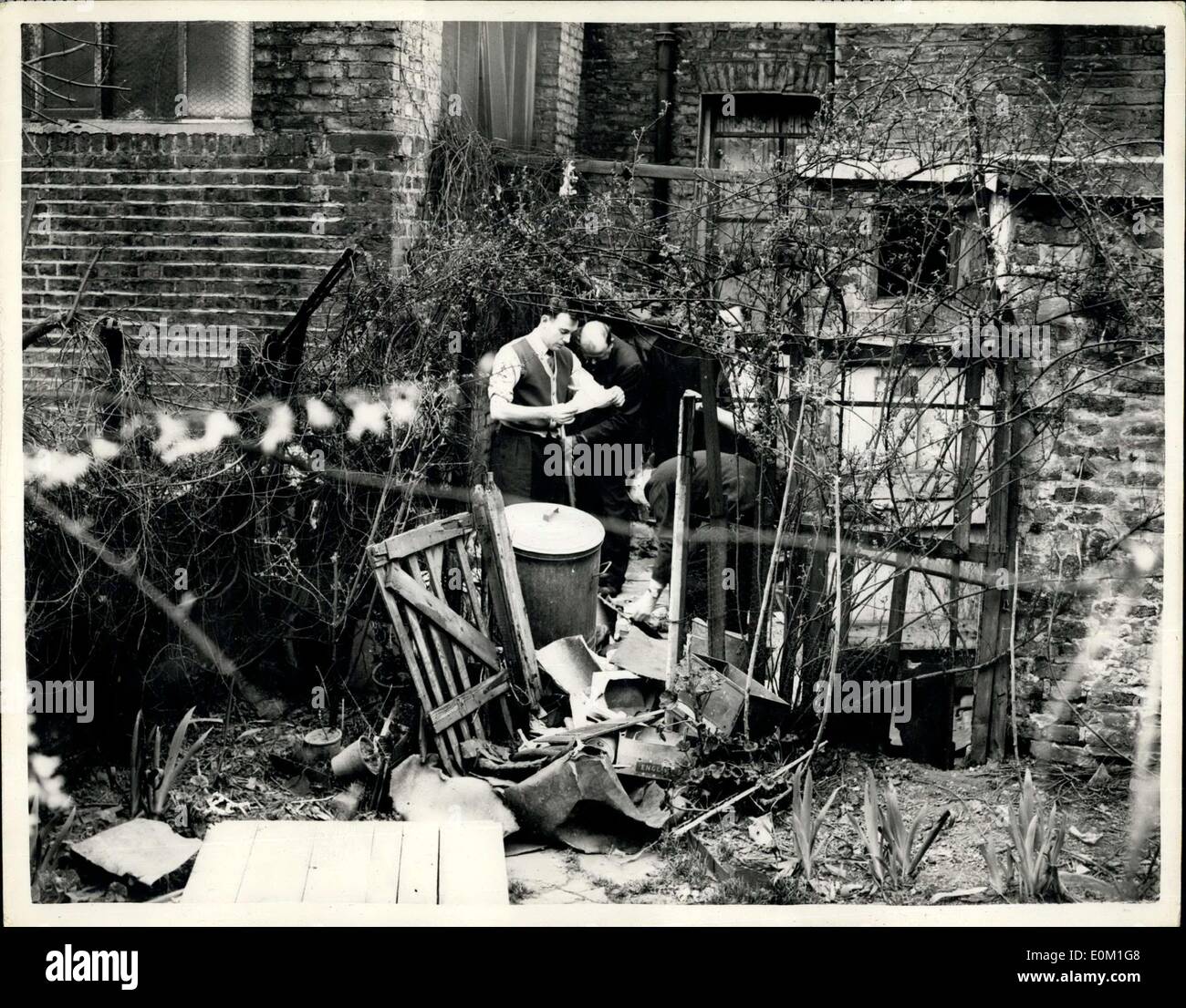 26. März 1953 - Haus des Todes Jagd geht weiter: Polizei nahm heute ihre Untersuchungen im Haus in Rillington - Ort, Notting Hill, erdrosselt und in der Erdgeschosswohnung mit Brettern vernagelt, wo vier Frauen gefunden wurden. Foto zeigt Polizisten durchsuchen den Müll im hinteren Garten des Hauses in Rillington-Platz, heute. Stockfoto