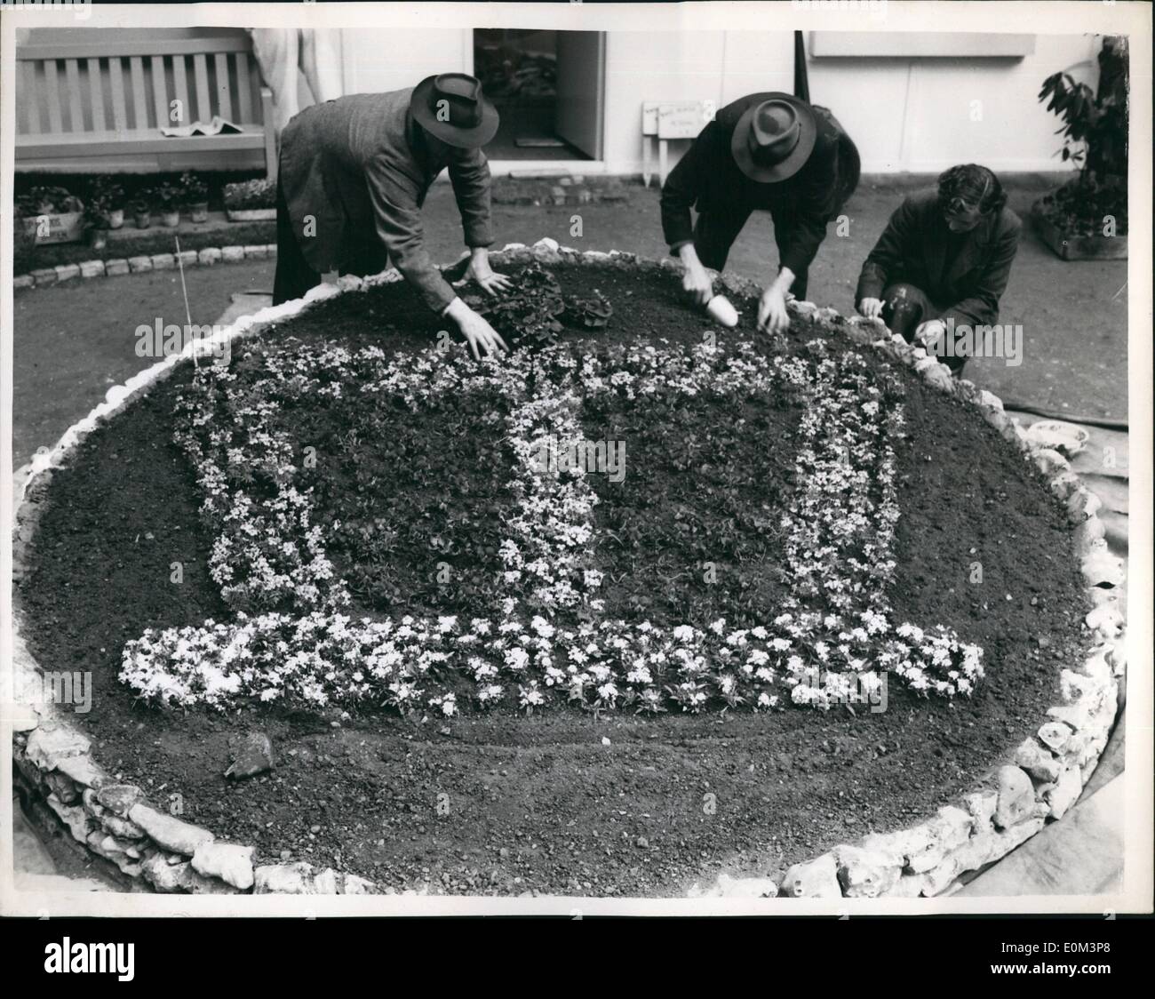 5. Mai 1953 - Vorbereitung auf die Cheslka Flower Show. W.V.S. Garten Geschenk Schema: Foto zeigt eine Blütenpracht in Form von Stockfoto