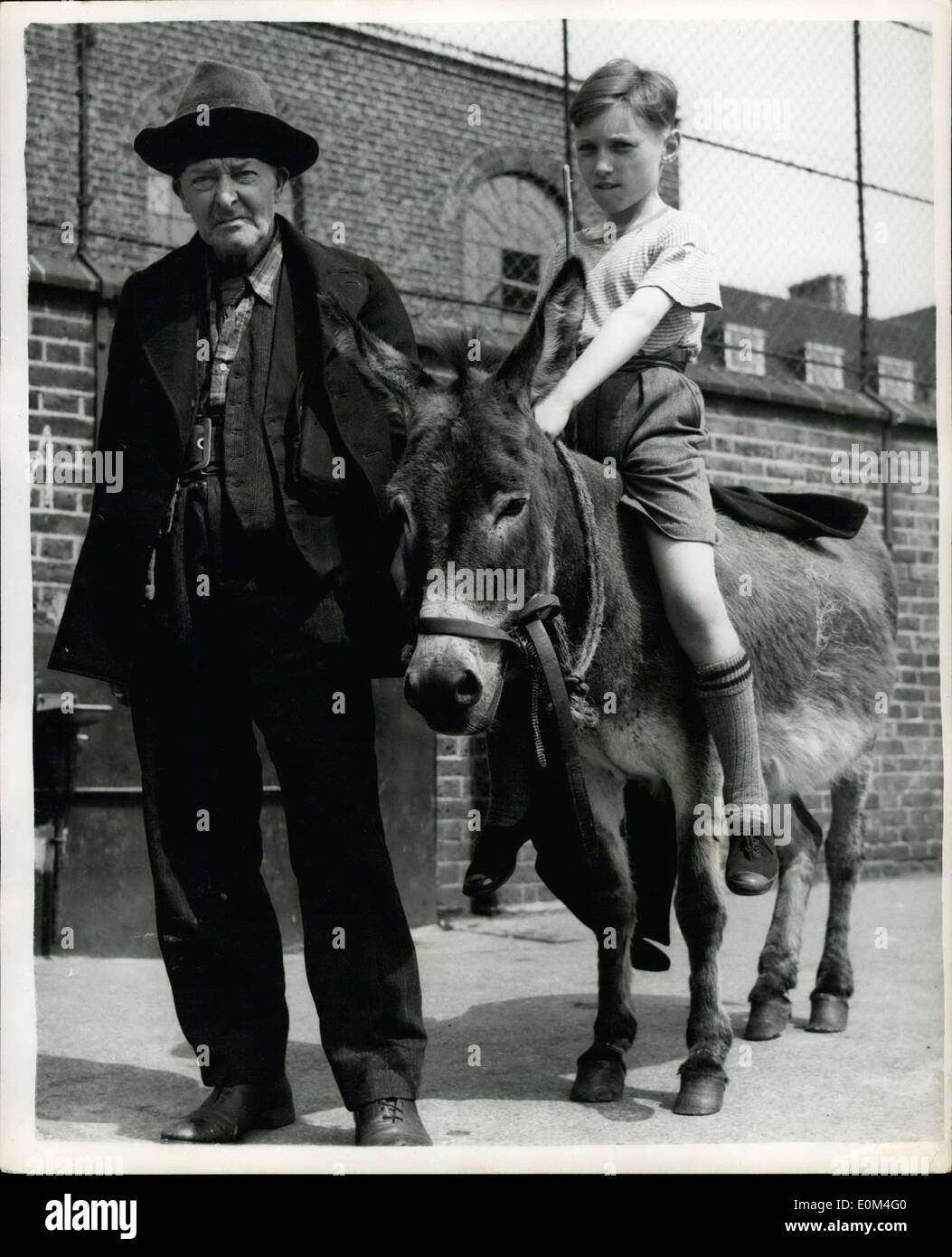 1. Juli 1953 - der Mann, der liebt seinen Esel; Harry Francis Randell, 76 und er hat nur einen Freund seine 12-jährige Esel, Kitty. Ein er weigert sich, von ihr getrennt zu sein. Harry hat keinen ständigen Wohnsitz, und das ist, warum er schläft auf dem Rasen auf einem Privathaus gefunden wurde. An seiner Seite lag den Esel. Der Gutsbesitzer in Islington, Lonion, rief die Polizei. Ein Polizei-Sergeant bot ihm Transport in ein Polizeiauto, aber Harry weigerte sich zu sagen "ich werde nicht '' getrennt von mit dem Esel. Harry war gestern 2 s, 6 d bei alten Straße Gericht bestraft. Stockfoto