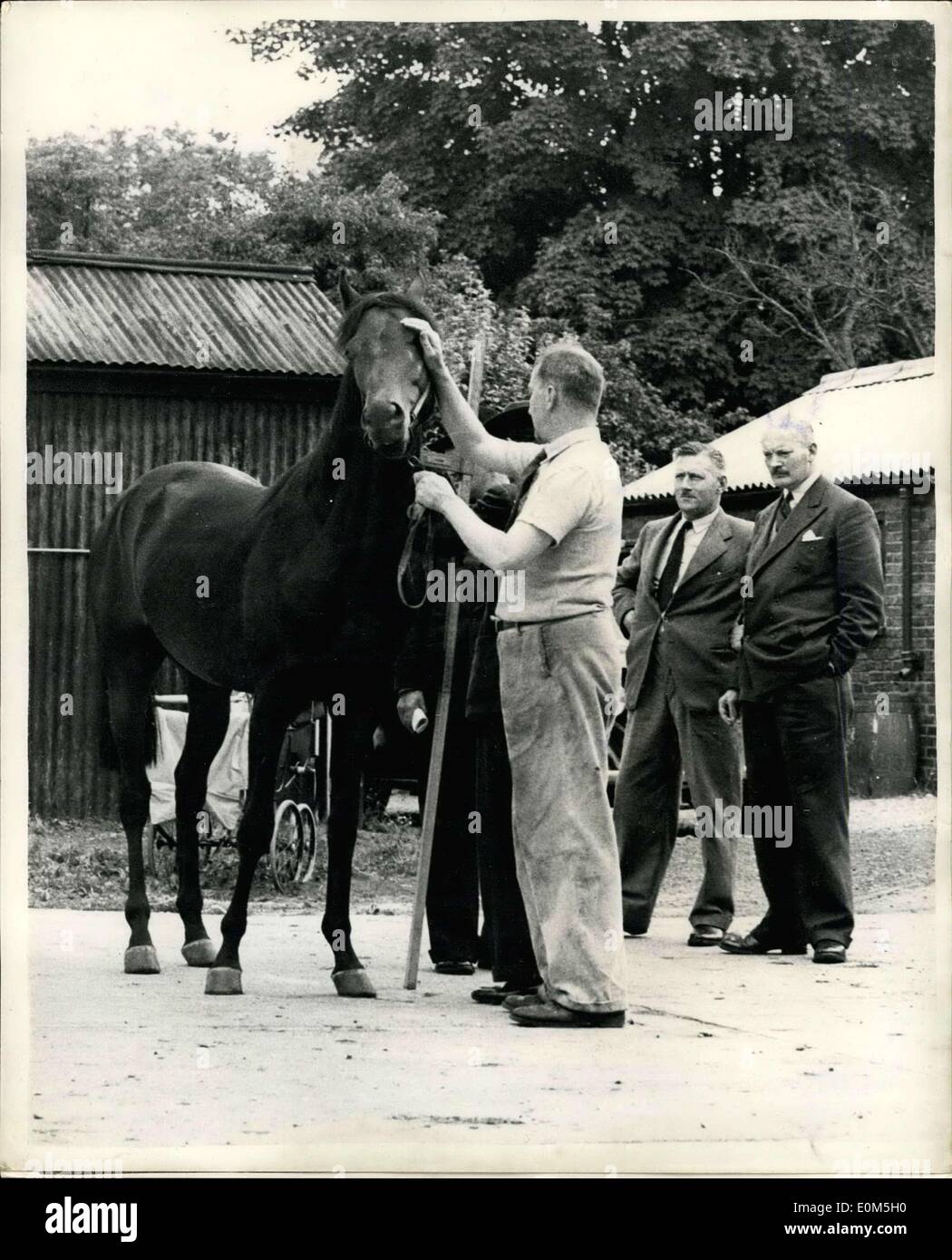 22. Aug. 1953 - der kleinste Jockey der Welt? Der 15-jährige Kenneth Glover aus Harregate Yorks ist wahrscheinlich der kleinste Jockey der Welt. Er ist so klein, dass die Bündel Stroh, die er in den Stall trug, ihn fast begraben. Er ist in der Tat nur 4 Fuß groß und wiegt 3t. 8 Ibs. Kenneth liebt Pferde und verbrachte seine Zeit damit, um eine Tischtür zu sehen. Und so wurde er zum Jockey. Er wurde von Herrn, Harold Story, dem Trainer, in Austwick, wo er seinen Stall hat, in Yorkshire bemerkt und gab dem jungen Kenneth eine sechsjährige Stute , die in Catterick und Ripon im Rennen reiten sollte Stockfoto