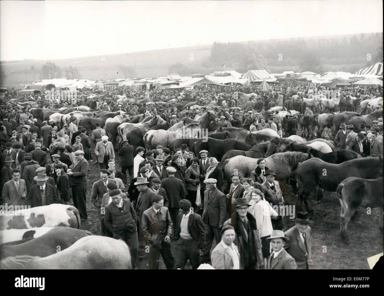 11. November 1953 - das größte Pferd Messe In Frankreich, Poussay, gibt es drei hundert Jahre!: eine allgemeine Übersicht über die größten Pferdemesse in Frankreich Poussay (Lorrain), 300 Jahre und hat einen guten Ruf. Stockfoto