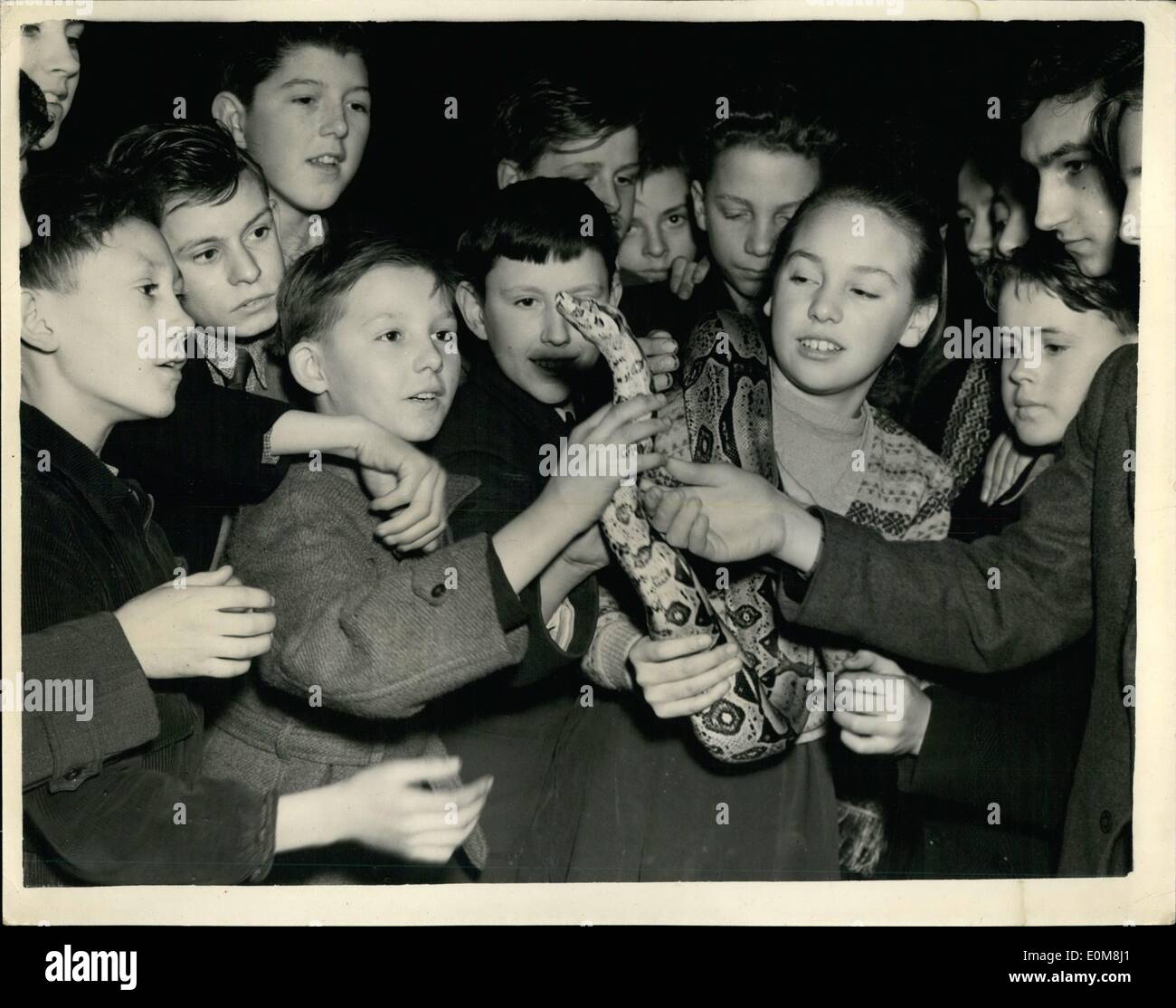 12. Dezember 1953 - Weihnachten-Vorlesungen für Kinder im London Zoo. Der junge hält eine Schlange.: Mr J.W. Lester Curator von der Stockfoto