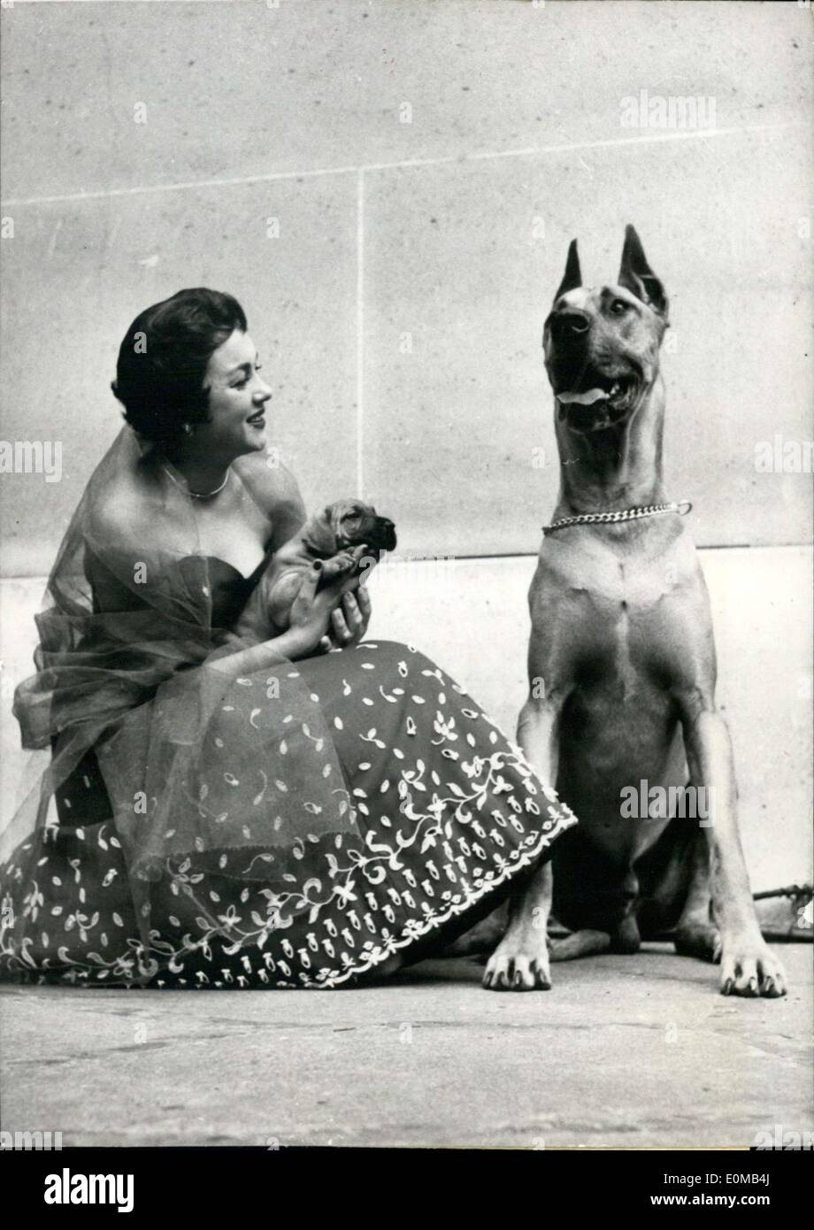 13. Mai 1954 - Miss Lefebvre und ihre Dogge "Champion" Stockfoto