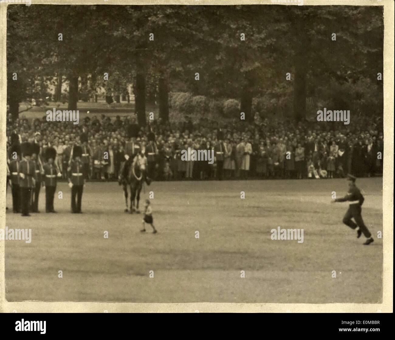 31. Mai 1954 - Trooping die Farbe Probe. Youngster läuft am Paradeplatz. Foto zeigt dieser Youngster lief auf dem Paradeplatz - und gejagt wurde, bevor er sich überreden - während Trooping die Farbe Probe auf die Horse Guards Parade heute Morgen zurück. Stockfoto