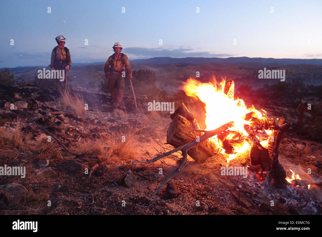 Zwei Mitglieder der Wolf Creek Hotshot Crew wärmen Sie sich neben dem brennenden Wacholder stumpf am Morgen nach einer langen Nachtschicht, New Mexico Stockfoto