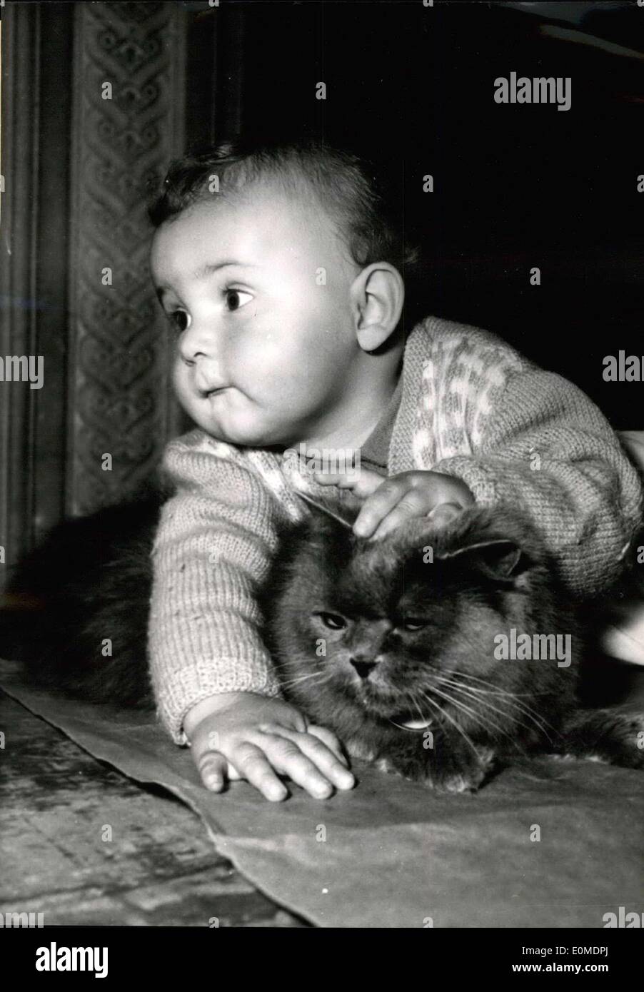 22. Oktober 1954 - Ewald 1 Jahr und seine Meister Katze: ein-Jahr-alte Ewald und seine blaue persische Yilda (von der Felikat von Amsterdam) gesehen, um den jährlichen Katzenausstellung jetzt wird im Hotel Crillon, Paris. Stockfoto