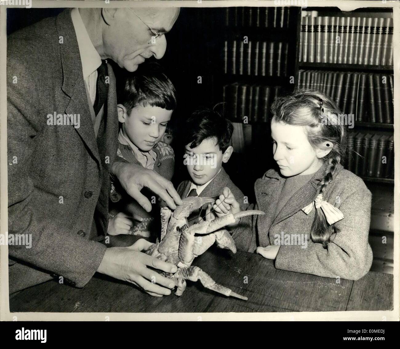 3. Januar 1955 - Vorlesungen für Kinder auf der London Zoo: die Gewohnheiten der '' Robber Crab'' zu erklären. Weihnachten Urlaub Vorlesungen für Kinder werden im Londoner Zoo gehalten. Heutigen Vortrag war '' Bewohner im Insekt Haus: - durch Herrn L.C. Bushby. Foto zeigt Herr L.C. Bushby, der Kurator des Hauses Insekt - beschreibt eine '' Robber Crab'' - ein Landkrabben, die kommt von den Weihnachts-Inseln und lebt, auf Kokosnüsse - L R: John Carstaires - Higgitt (7) der Hampstead David Smulian (6) von Hampstead; und Heather Lester (9), deren Vater auf das Zoo-Personal ist. Stockfoto