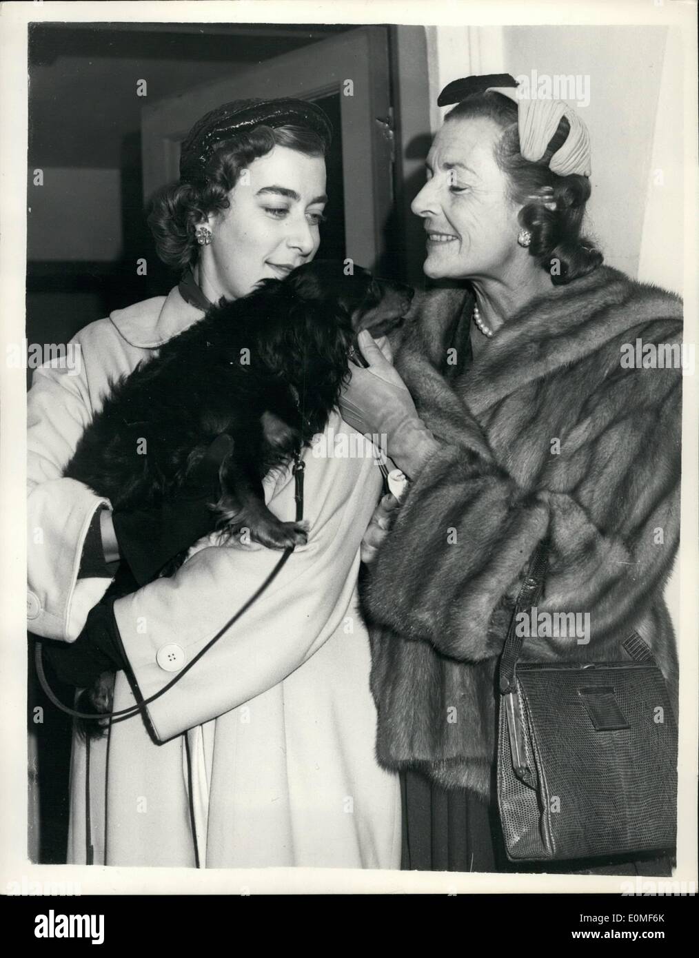 12. Dezember 1954 - kommt Admiral Earl Mountbatten in London. Ein Gruß aus der Hund Glanz. Admiral Earl Mountbatten, übernimmt den Posten des ersten Seelord und Chief of Naval Staff März nächsten Jahres, ist heute in London am Flughafen angekommen. Seine mediterrane Befehl ist Admiral Sir Guy Grantham übernommen werden. Keystone-Fotoshows: Lady Pamela Mounbatten hält ihr Haustieren Hund Sheen war am Flughafen um die Familie zu treffen, während ihre Mutter Lady Louis Mountbatten es Haustiere. Stockfoto