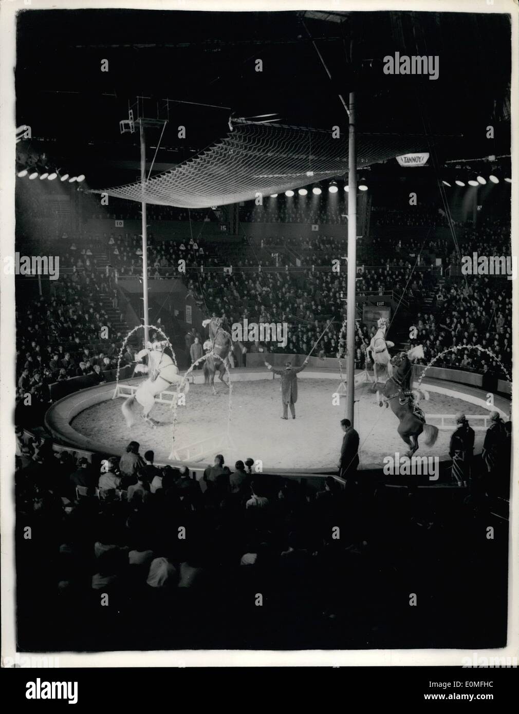 16. Dezember 1954 - 16.12.54 besondere Leistung von Bertram Mills Circus für Schulkinder. Foto zeigt: Eine allgemeine Ansicht in die besondere Leistungsfähigkeit von Olympia heute Nachmittag zeigen Gindl und seine Freiheit Pferde ihren Satz durchführen. Stockfoto