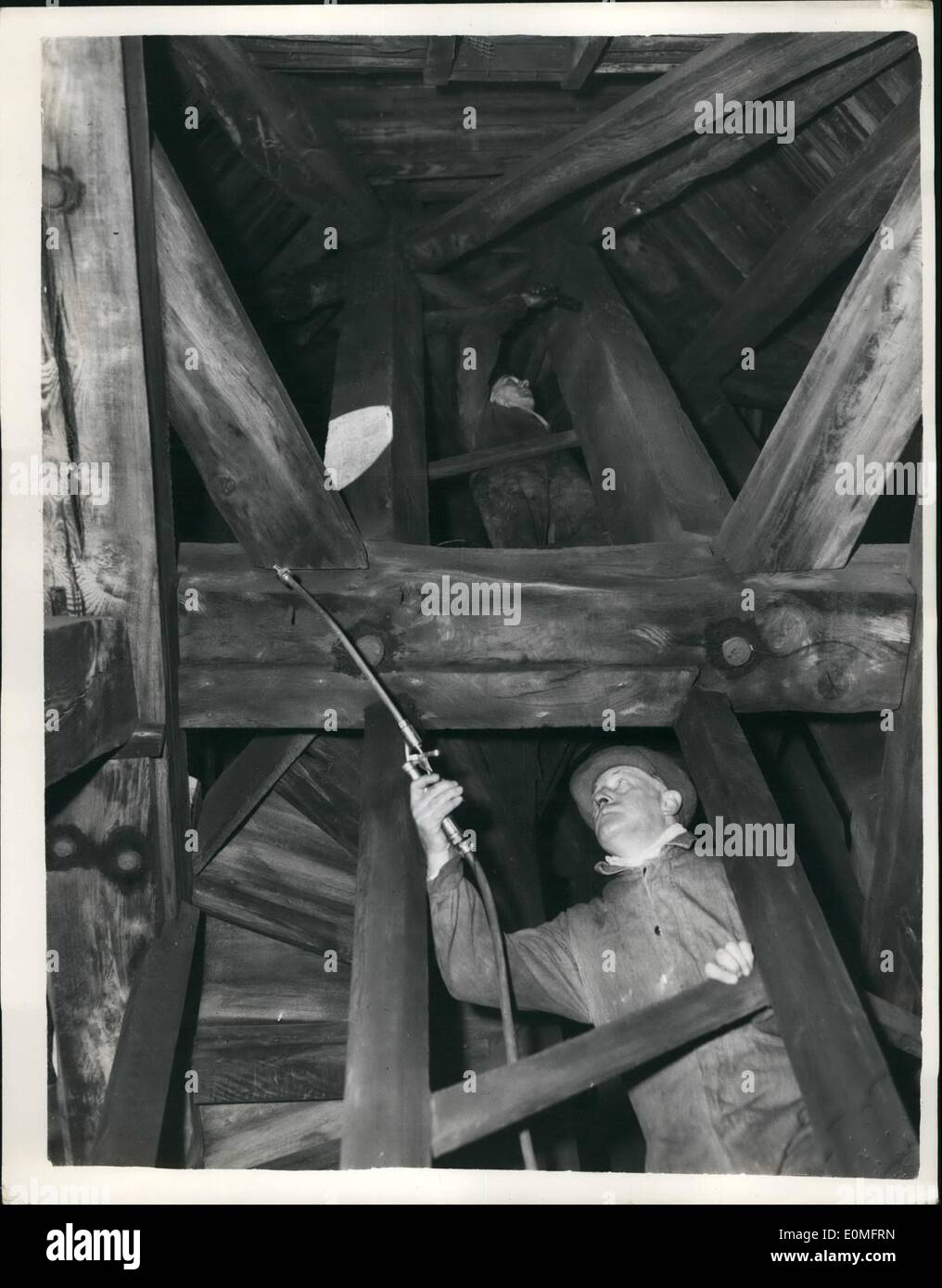 3. März 1955 - auf der Suche nach Tod beobachten Käfer in der antiken Stadtkirche; Sanierungsarbeiten ist vor auf der alten Wreb Kirche St.. Martin in Lugate aus Ludgate Hill. Die Kirche wurde im Jahre 1684 (zum vierten Mal) wieder aufgebaut. Foto zeigt: Arbeiter Serching für Holz und dem Tod beobachten Käfer in den Glockenturm Turm von St. Martin in Ludgate. Stockfoto