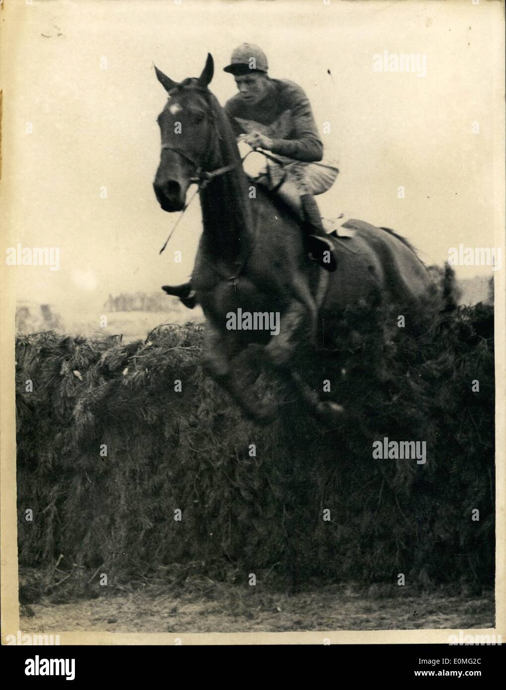 3. März 1955 - das Grand National; In Aintree '' Quare Mal '' gewinnt: Das Grand National in Aintree, Liverpool heute gewonnen wurde durch Stockfoto