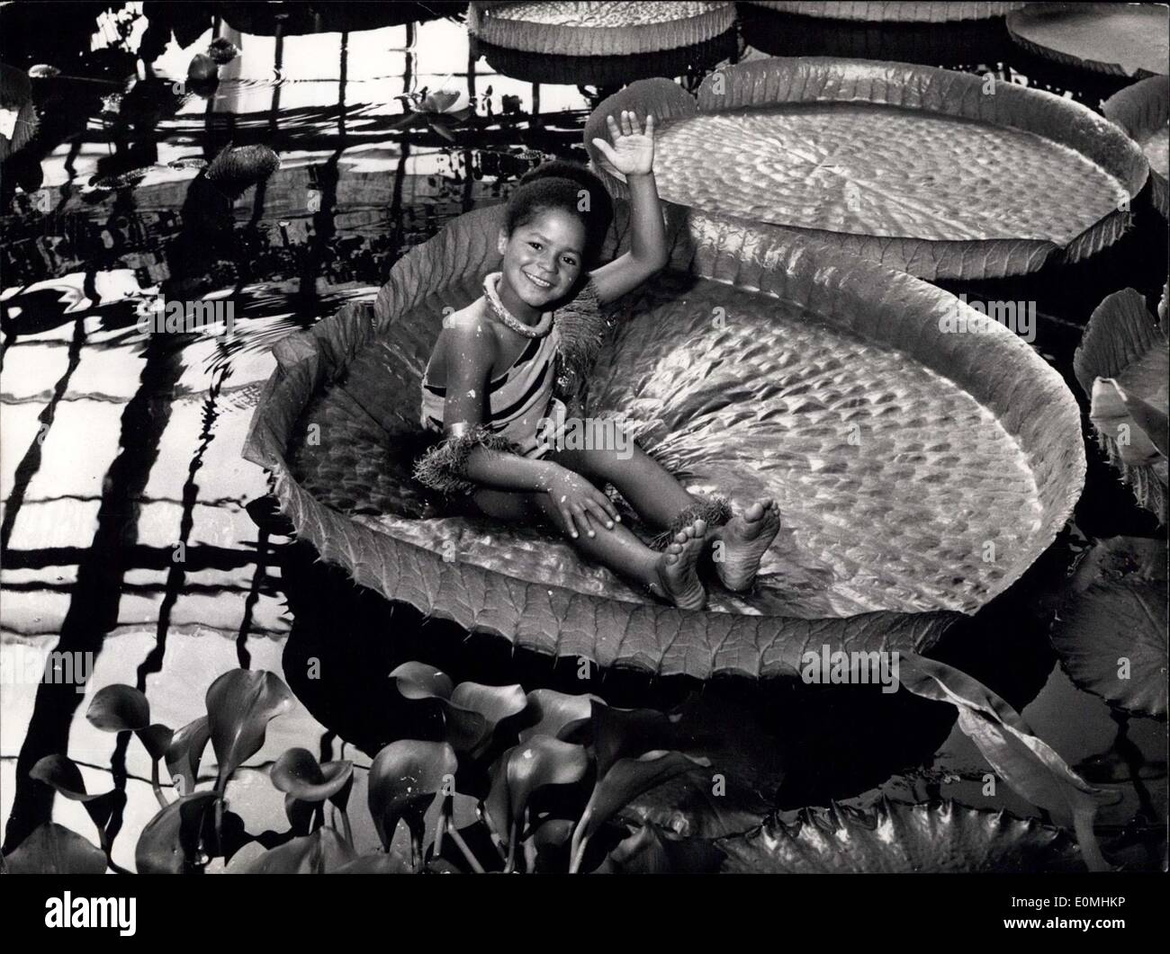 31. Mai 1955 - Ein kleines Ethnie-Mädchen, das sich auf dem Blatt der Victoria Regina im botanischen Garten Berlins gut auslebt. Stockfoto