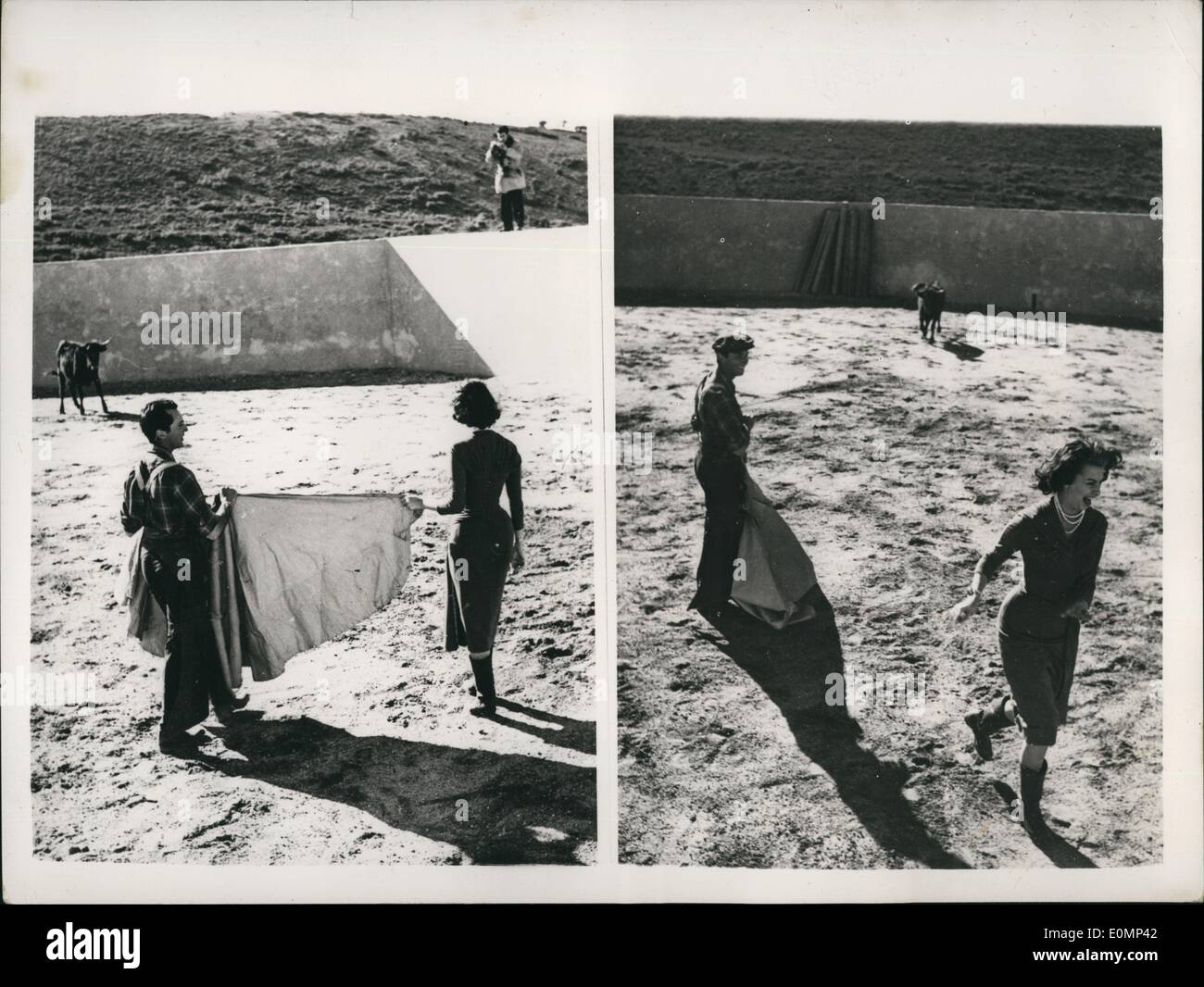 2. Februar 1956 - Sophia Loren versucht ihr Glück beim Stierkampf bu ihren Mut scheitert ihr in der letzten Minute: beliebte italienische film Sterne Sophia Loren, der in Madrid ist für die Herstellung eines neuen Films der Gast im Haus von Frau Luigi Miguel Dominguin Frau der größten war von allen spanischen Stierkämpfer also Miguel Dominguin bot ihr ein paar geben in den privaten Stierkampfarena im Villa Paz Lektionen , in der Nähe von Madrid. Sophia ging in den Ring "OK", aber sobald der Stier in Richtung ihrer Sophia bekam Angst und einen Strich aus der Arena machte Stockfoto