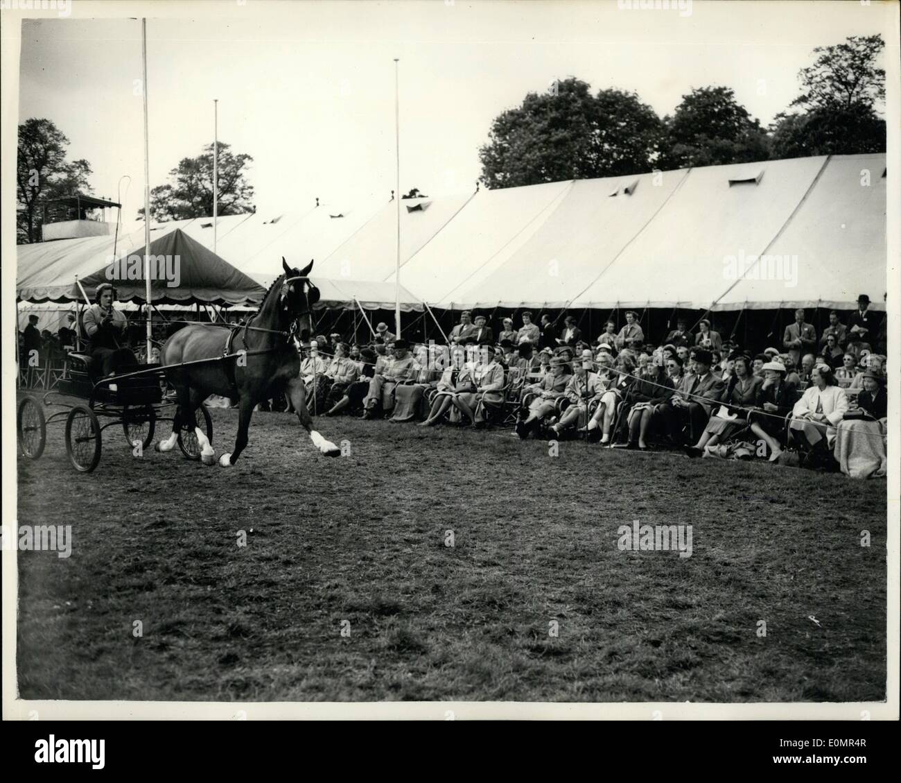 11. Mai 1956 - 05.11.56 Royal Windsor Horse Show Ã ¢ Â'¬â €œ Harness Horse Championships. beteiligt sich an Stockfoto