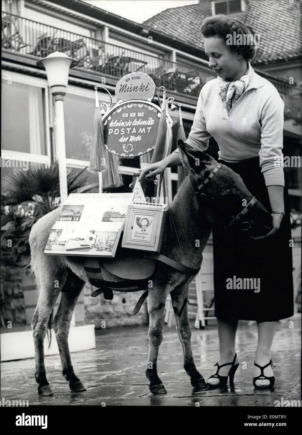 4. Juli 1956 - hier abgebildet ist der "kleinste Postbote der Welt '' Munki der postalischen Esel. Durch einen Mangel an Arbeitskräften wird der Esel eingesetzt, Postkarten, Briefmarken und andere Dinge zu verkaufen. Stockfoto