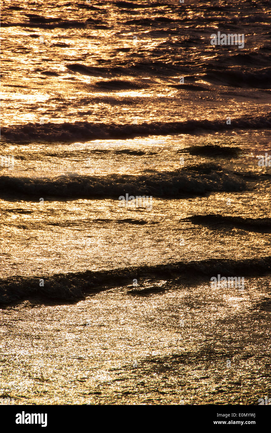 Goldene Wavelet bei Sonnenuntergang im Vordergrund und Hintergrund, vertikale Verhältnis Stockfoto