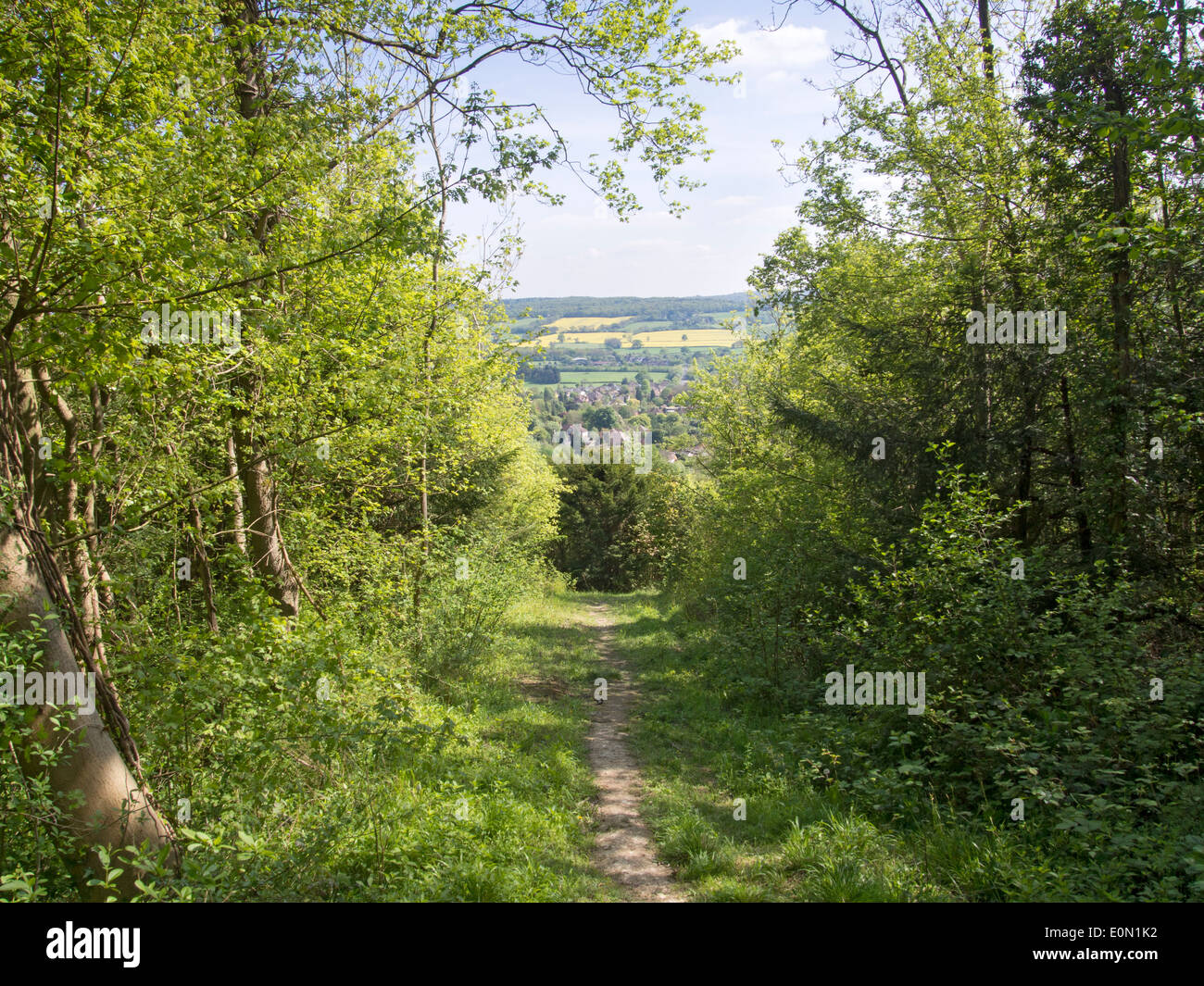 Blick auf einen fernen Raps Feld Stockfoto