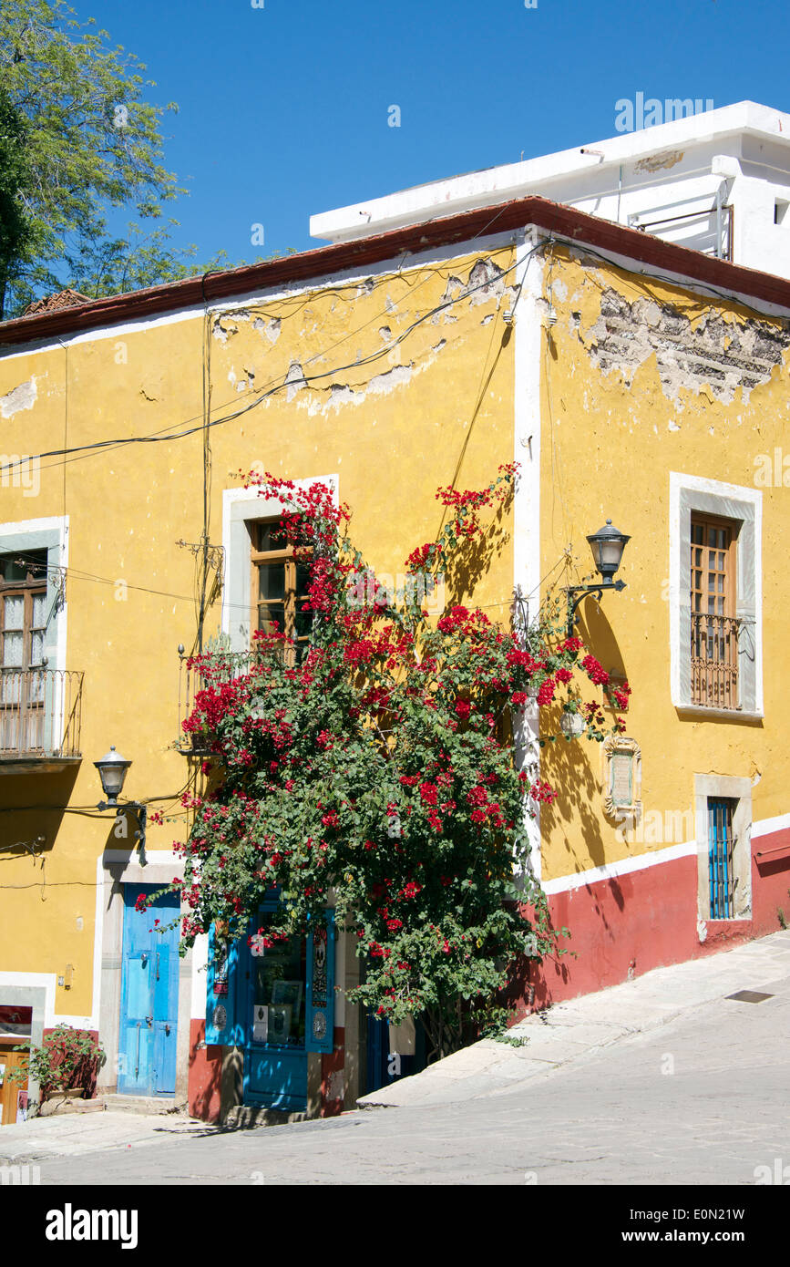 Gemaltes Haus La Roche Plaza Altstadt Guanajuato Mexiko gelb Stockfoto