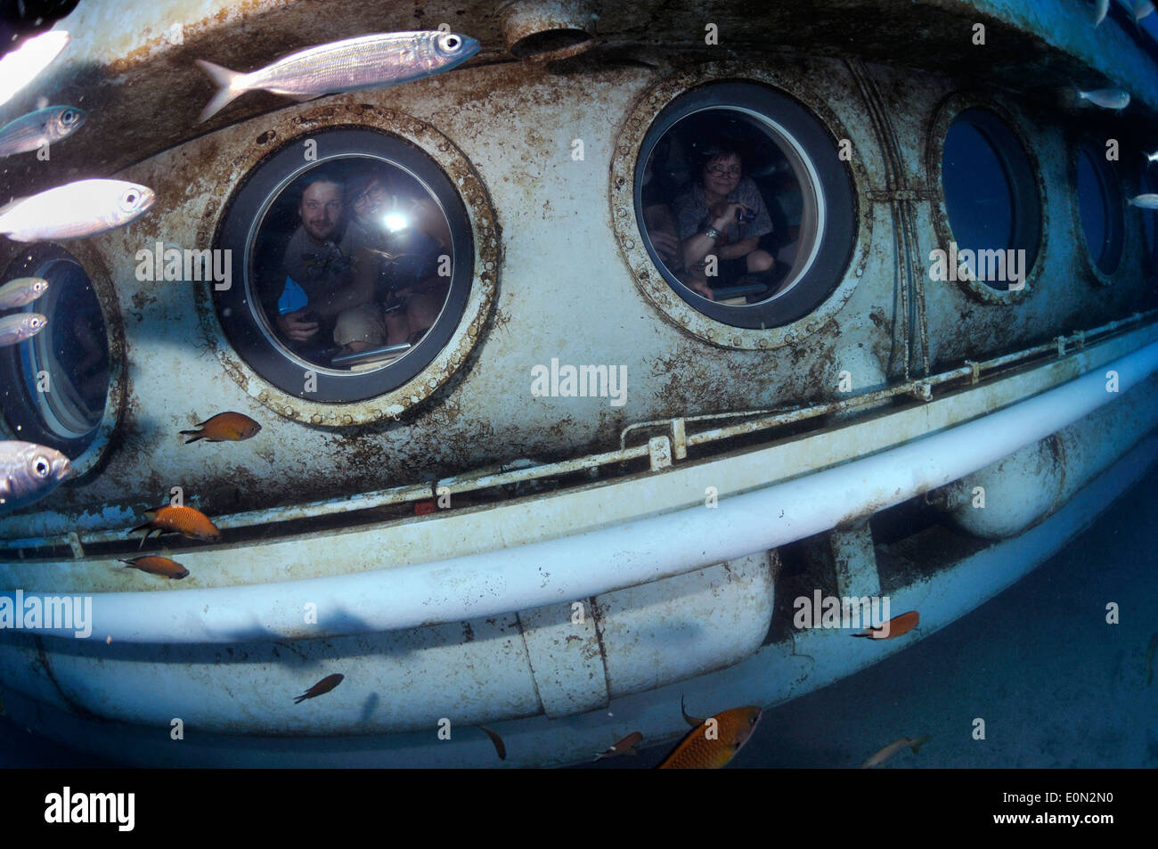 Touristen-u-Boot-Safaris gelben u-Boot unter Wasser Blick aus Bullaugen, Teneriffa Stockfoto